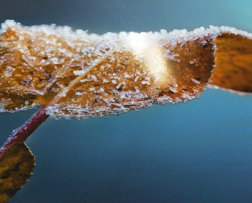 Soft touch Laminointi