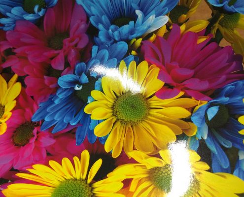 Sleeking gloss kalvo Laminointi